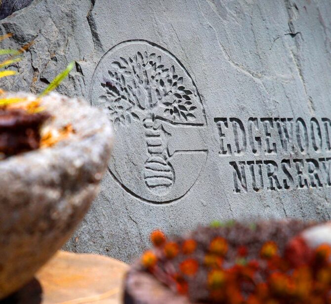 edgewoodnurserystone