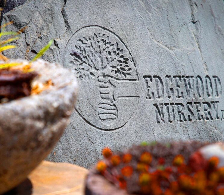 edgewoodnurserystone